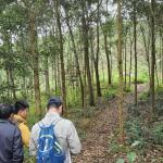 Certificate of sustainable forest for Phu Luong household group