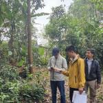 Certificate of sustainable forest for Phu Luong household group