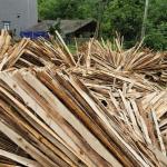 Bìa keo sạch vỏ