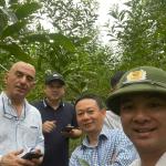 Nhóm hộ FSC Lâm sản Thái Hưng – Phú Lương