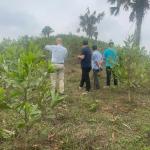 Nhóm hộ FSC Lâm sản Thái Hưng – Phú Lương