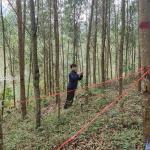 Nhóm hộ FSC Lâm sản Thái Hưng – Phú Lương